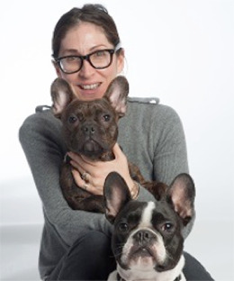 French bulldog best sale spay surgery cost